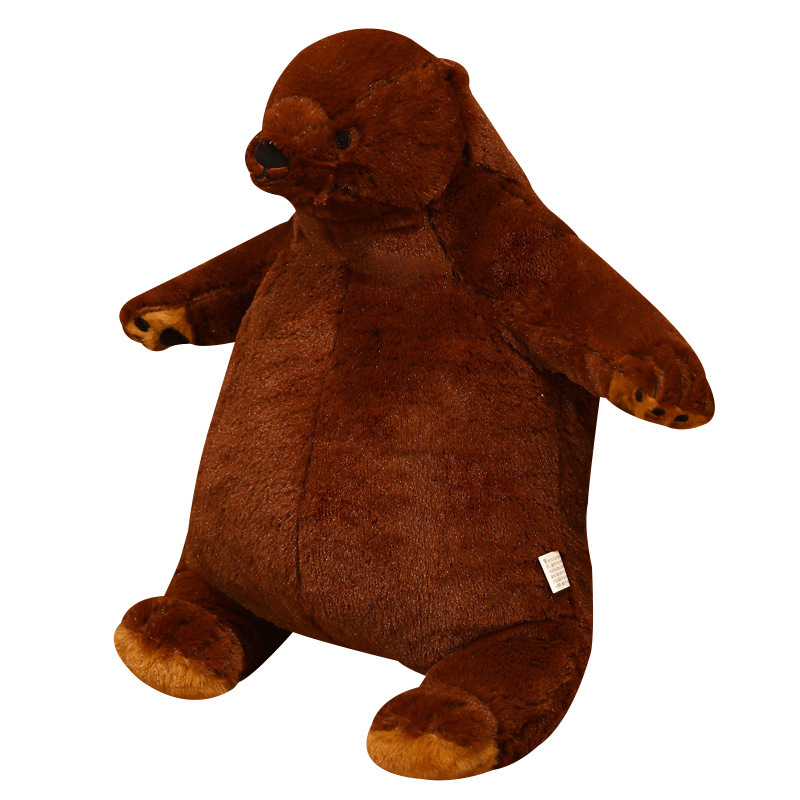 Cute Brown Bear