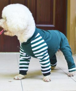 Teddy bear dog four legged clothes