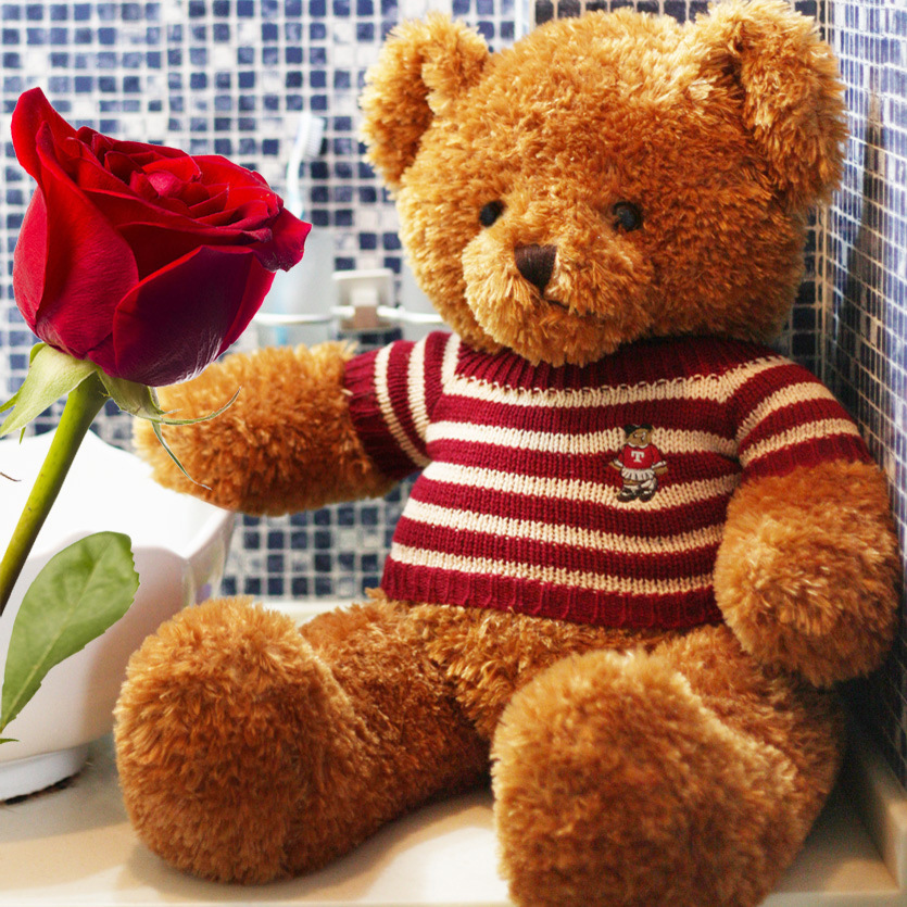 Genuine teddy panda - Image 2