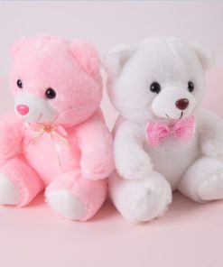 Cute Colorful Teddy Panda