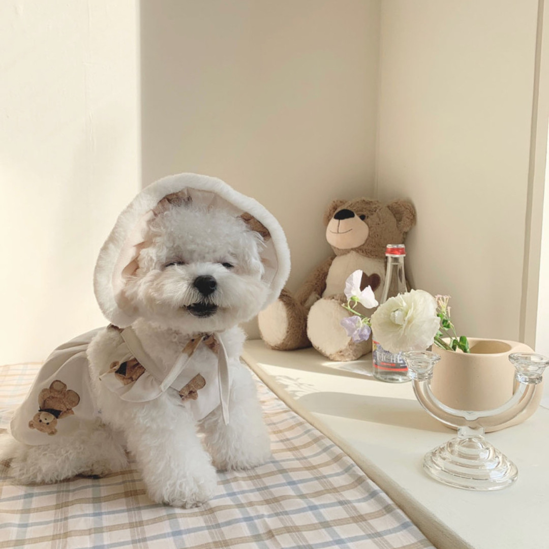 Cute Dog Plush Toy