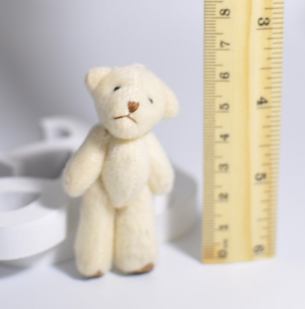 Stuffed Mini Teddy Bear Canada - Image 2
