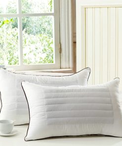 Noodle Buckwheat Pillows