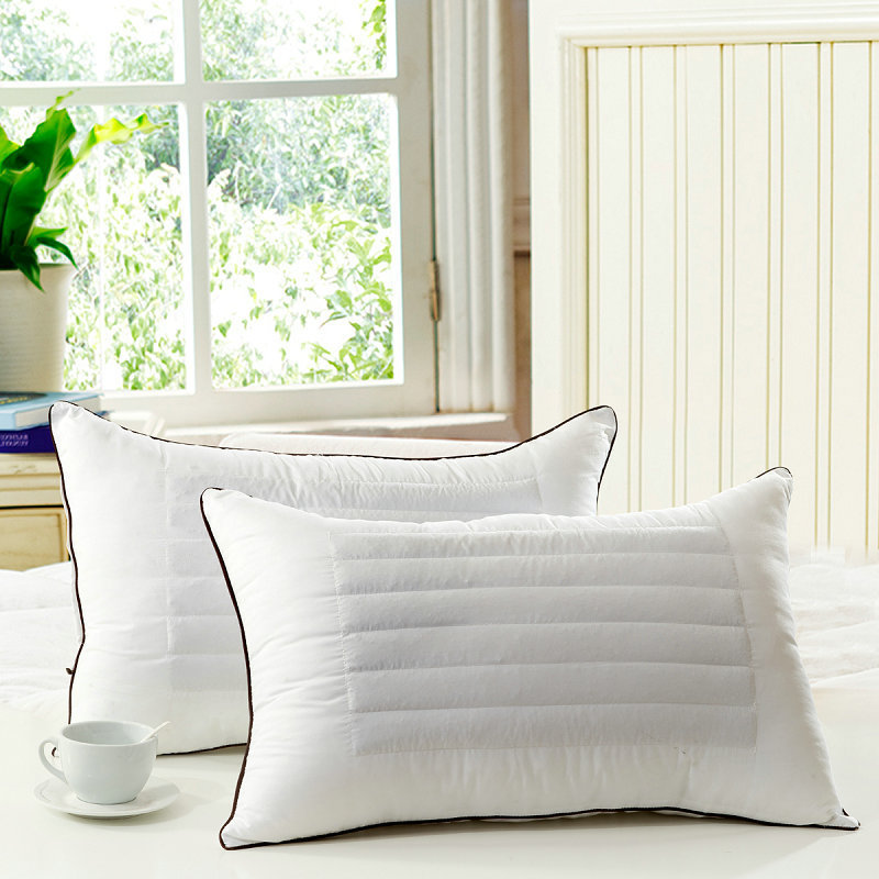 Noodle Buckwheat Pillows